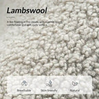 Fauteuil Sheila moderne 30W en boucle avec pieds en bois massif, lot de 2, par HULALA HOME