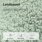 Fauteuil Sheila moderne 30W en boucle avec pieds en bois massif, lot de 2, par HULALA HOME